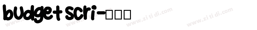 budget scri字体转换